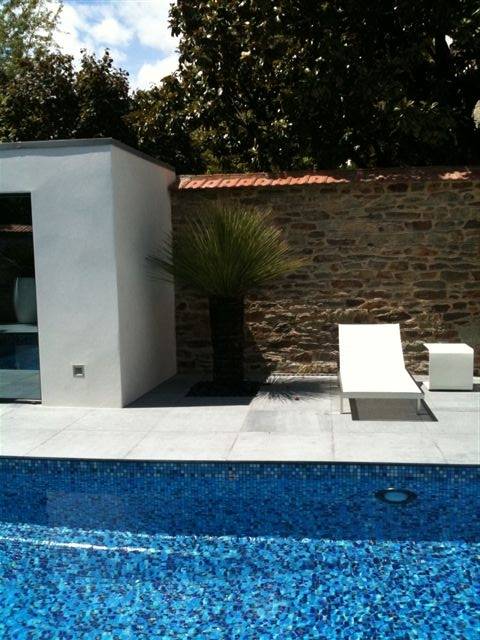 rénovation piscine